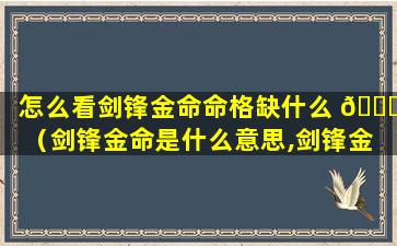 怎么看剑锋金命命格缺什么 💐 （剑锋金命是什么意思,剑锋金 🐒 命解析）